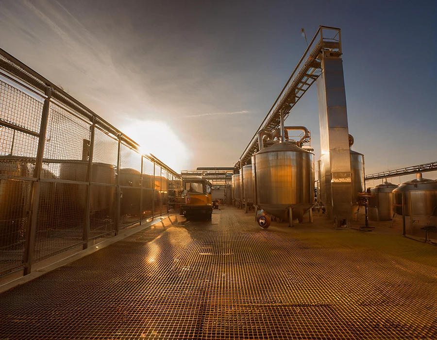 Building Strong Partnerships in Olive Oil B2B Markets